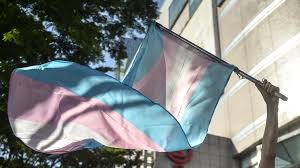 Un drapeau transgenre brandit et flottant au vent pendant une manifestation