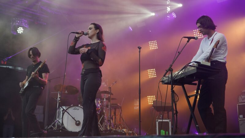 Fallen Alien : la fratrie qui a enflammé Art Rock